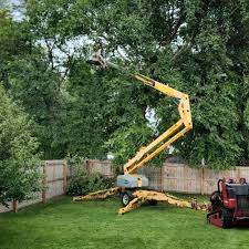 Best Leaf Removal  in New Plymouth, ID